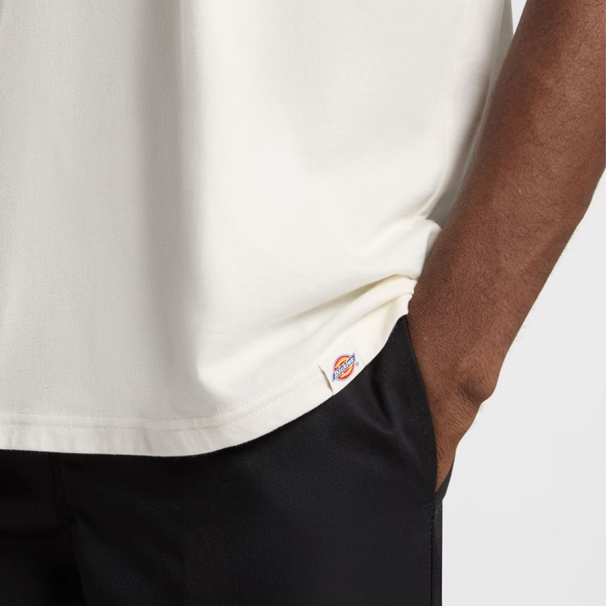 Dickies T-Shirt Lewistown Egret - 6